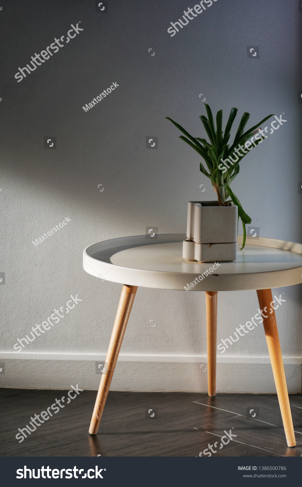Small plant on the table #1386500786