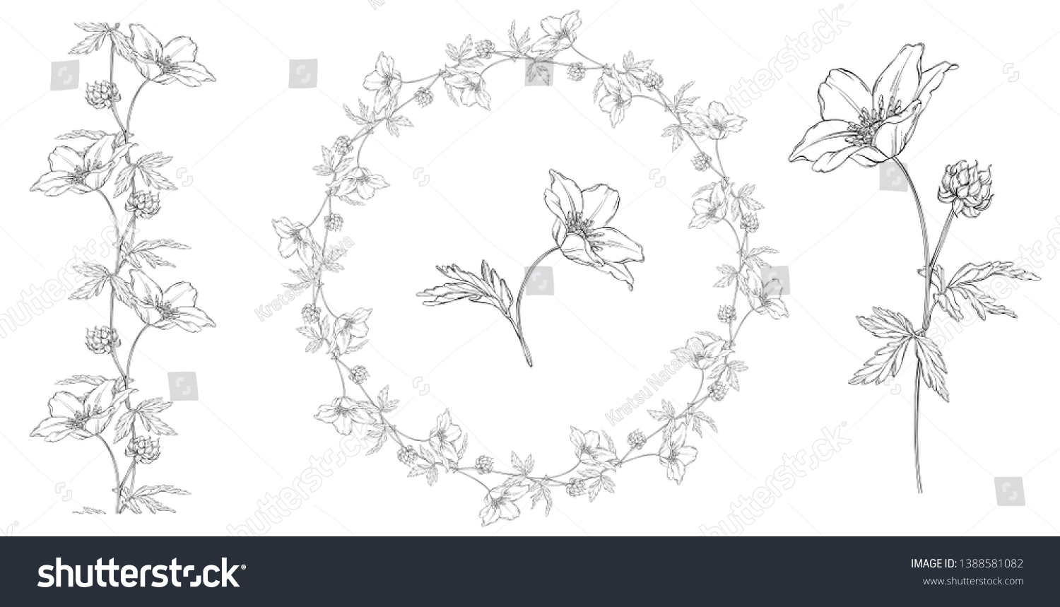 vector floral black and white composition set with anemone flowers #1388581082