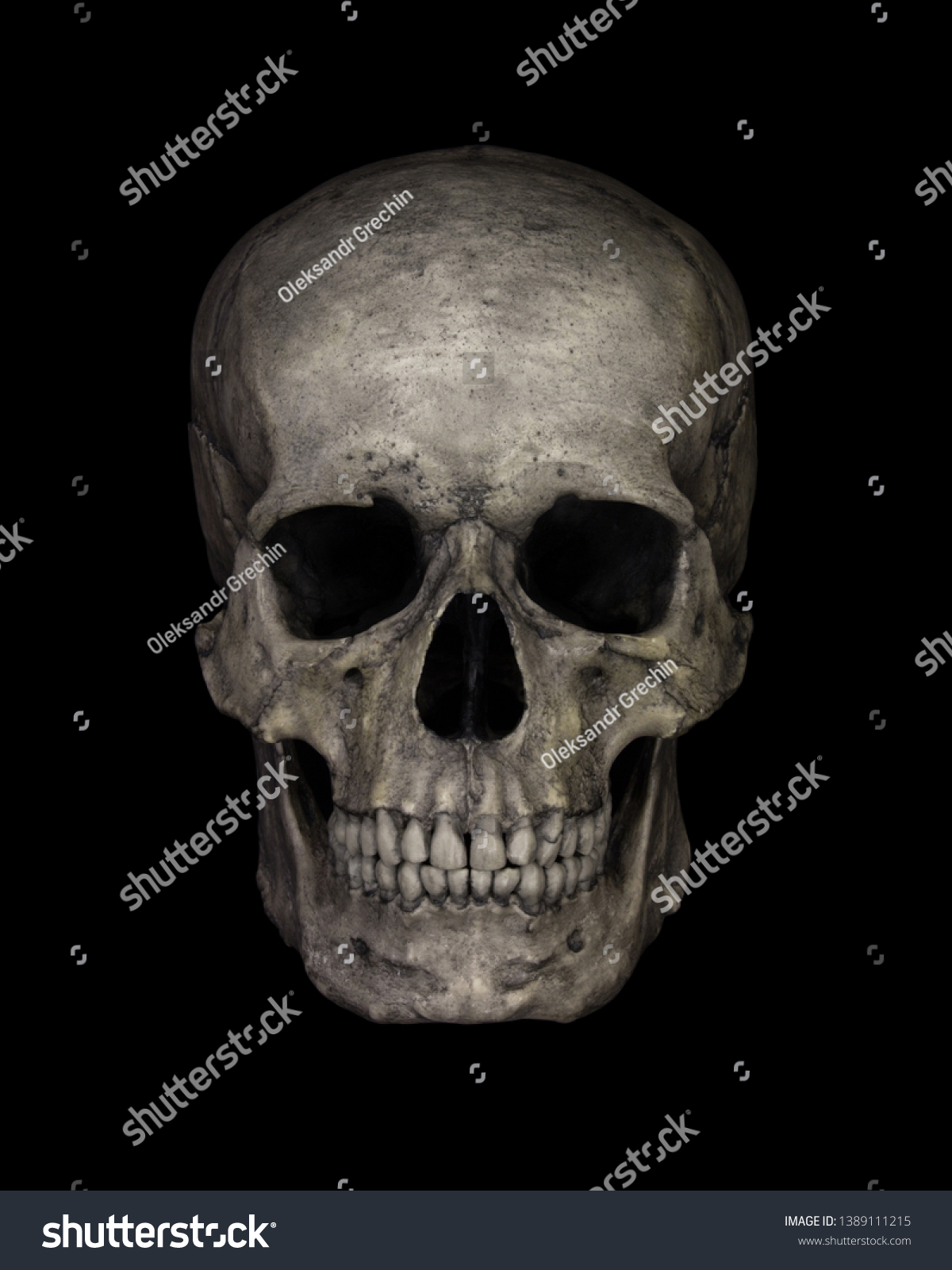Human Skull Isolated on black #1389111215