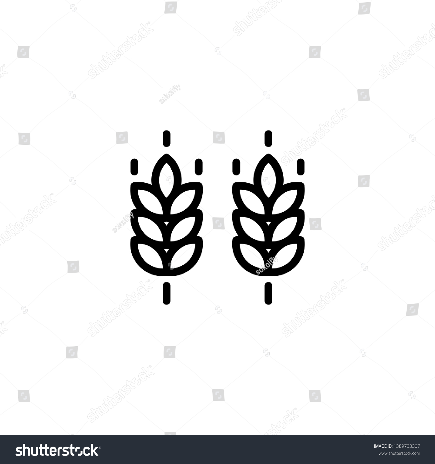 Vector farm wheat ears icon template. Line whole grain symbol illustration for organic eco business, agriculture, beer, bakery. Gluten free logo background #1389733307