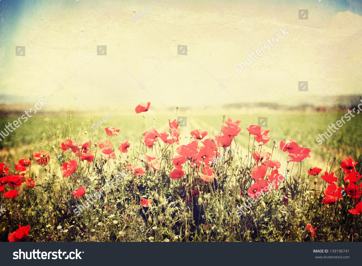 panoramic vintage landscape with red flower in spring field #139196741