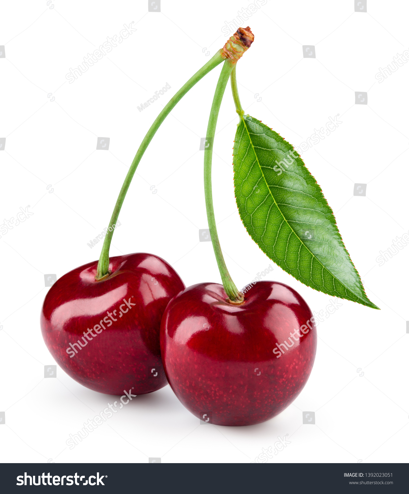 Cherry isolated. Cherry on white. Cherries. With clipping path. #1392023051