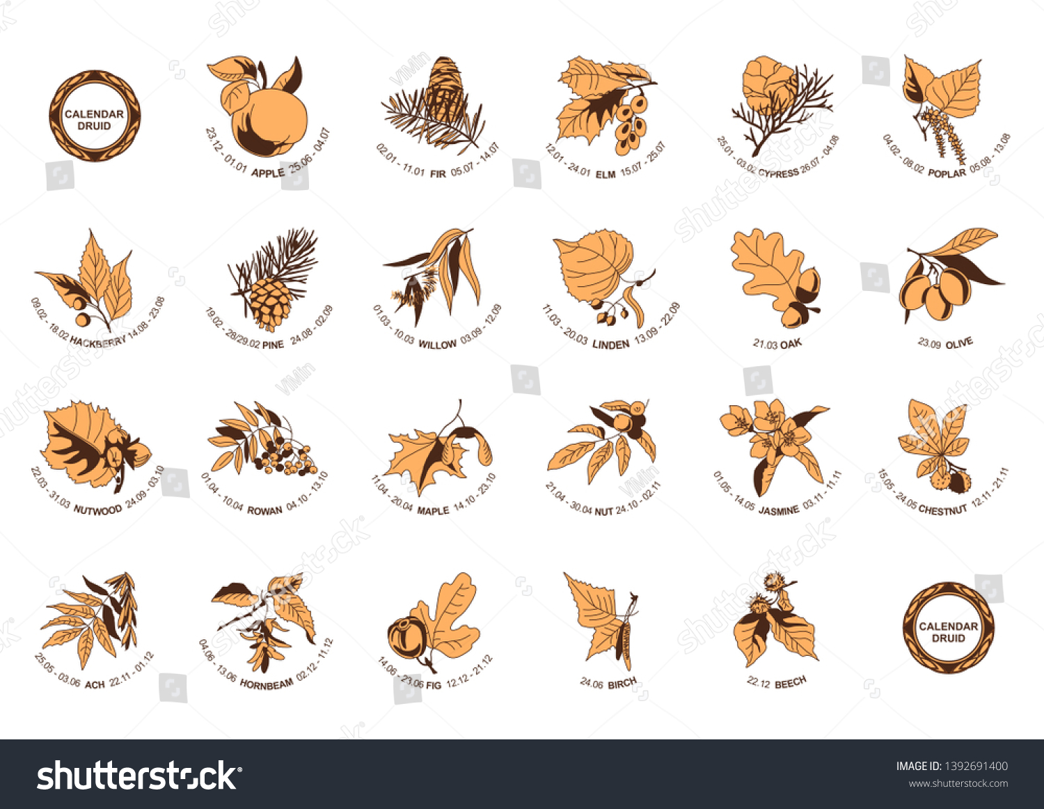 Druid celtic calendar. Trees: apple, fir, elm, - Royalty Free Stock ...