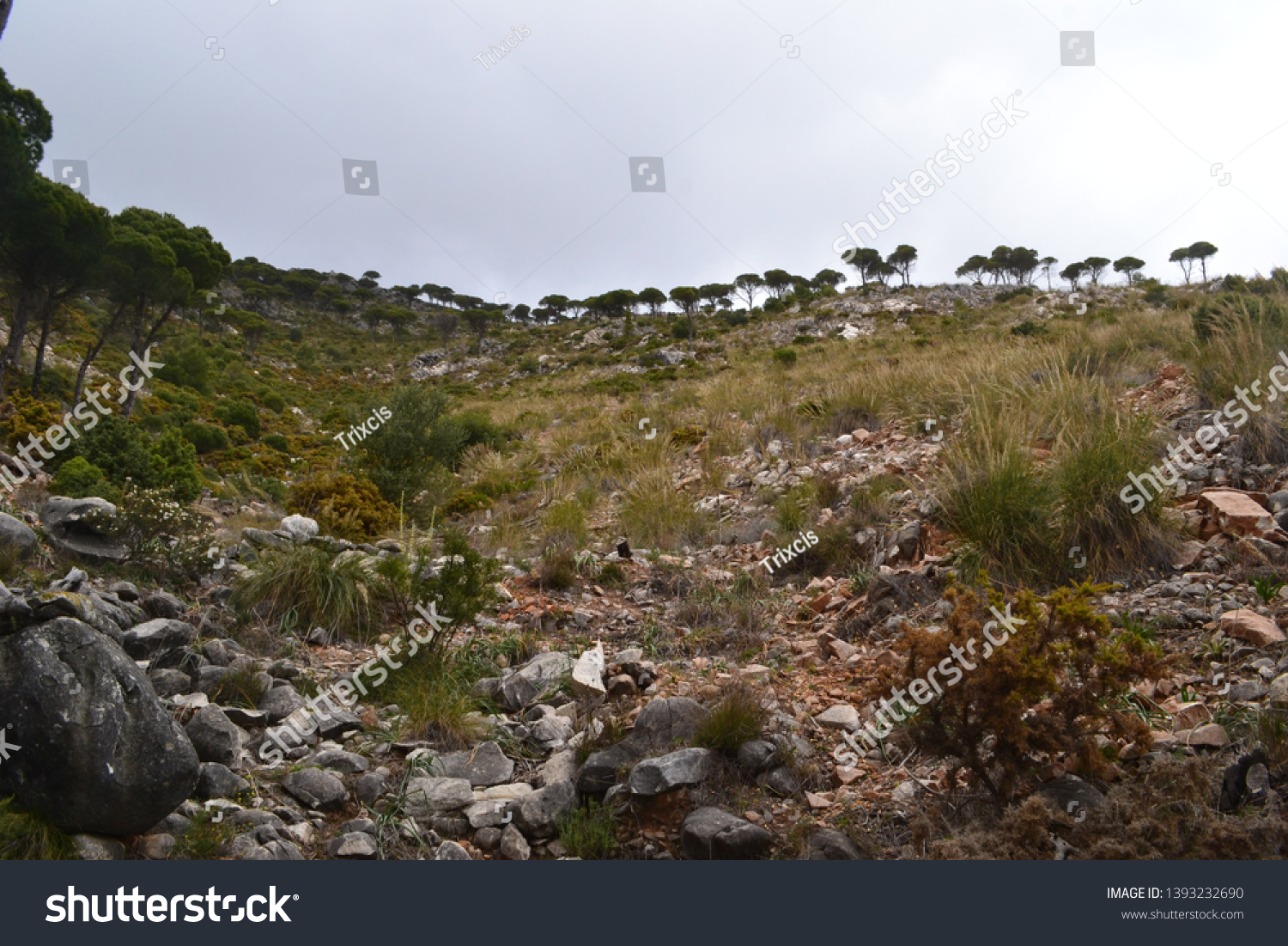 Rocky mountain side near Mijas, Spain, on a quiet and cloudy spring morning. #1393232690