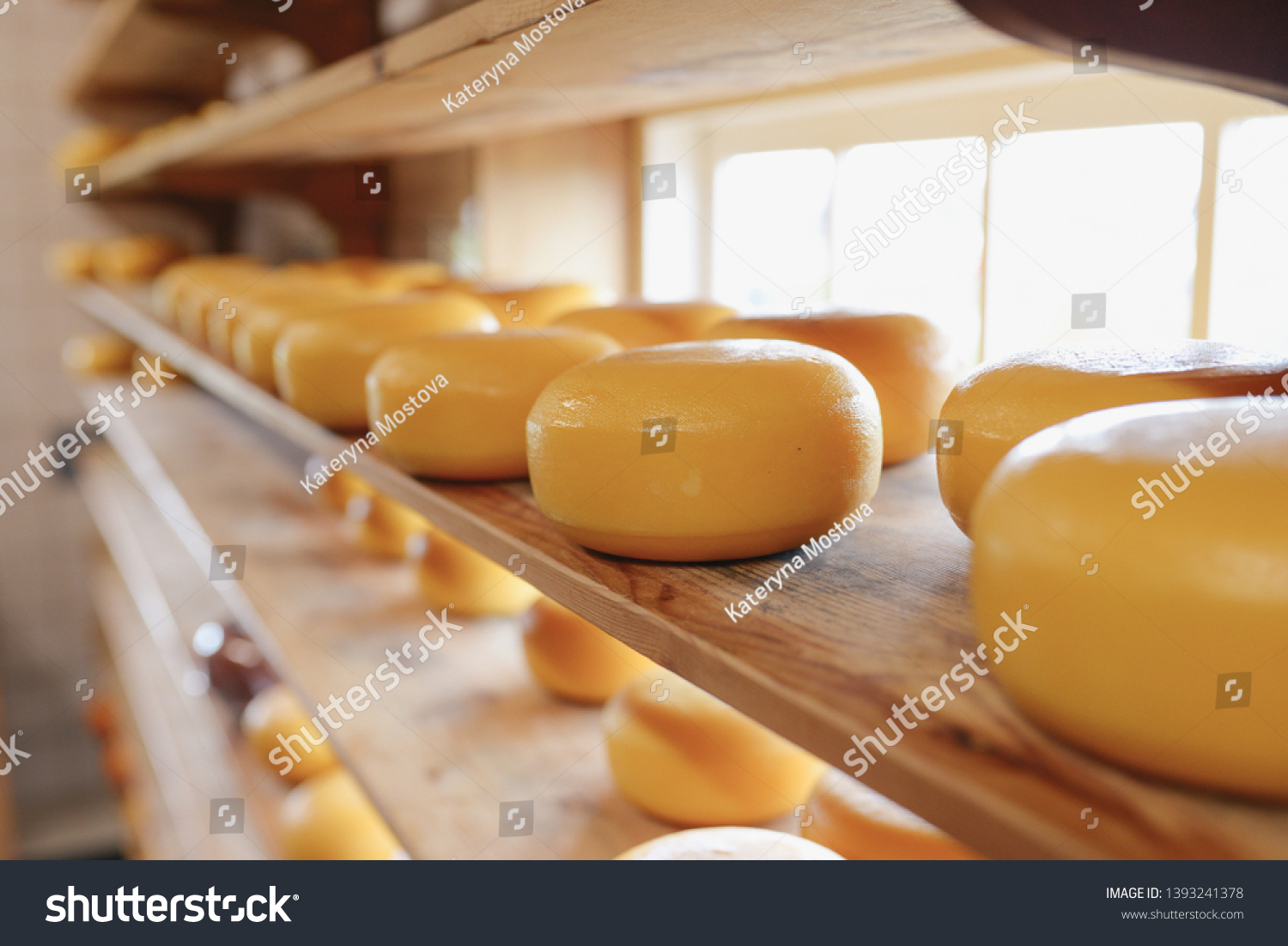 Process of producing in dairy industry - fresh produced cheese in a cheesery on the shelf (for selling) #1393241378