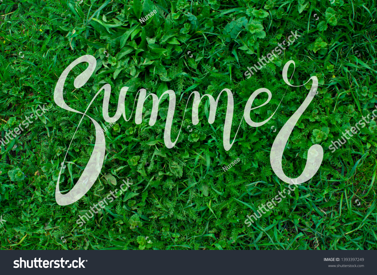 
Bright background with green lawn, grass with lettering calligraphic lettering summer white color. #1393397249