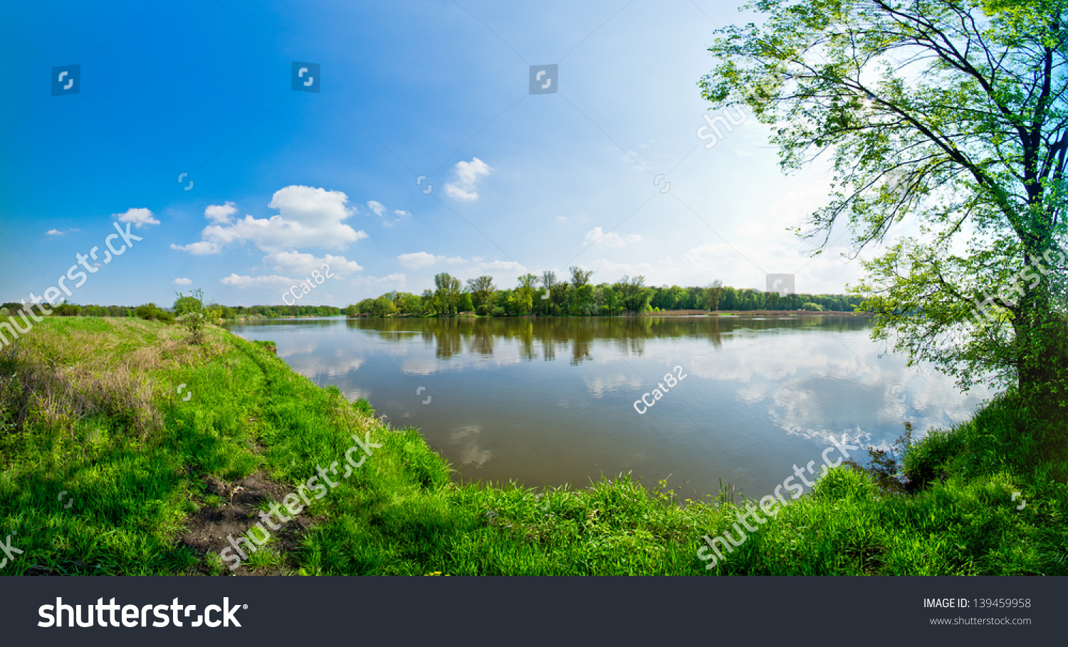 Odra river during the spring time #139459958