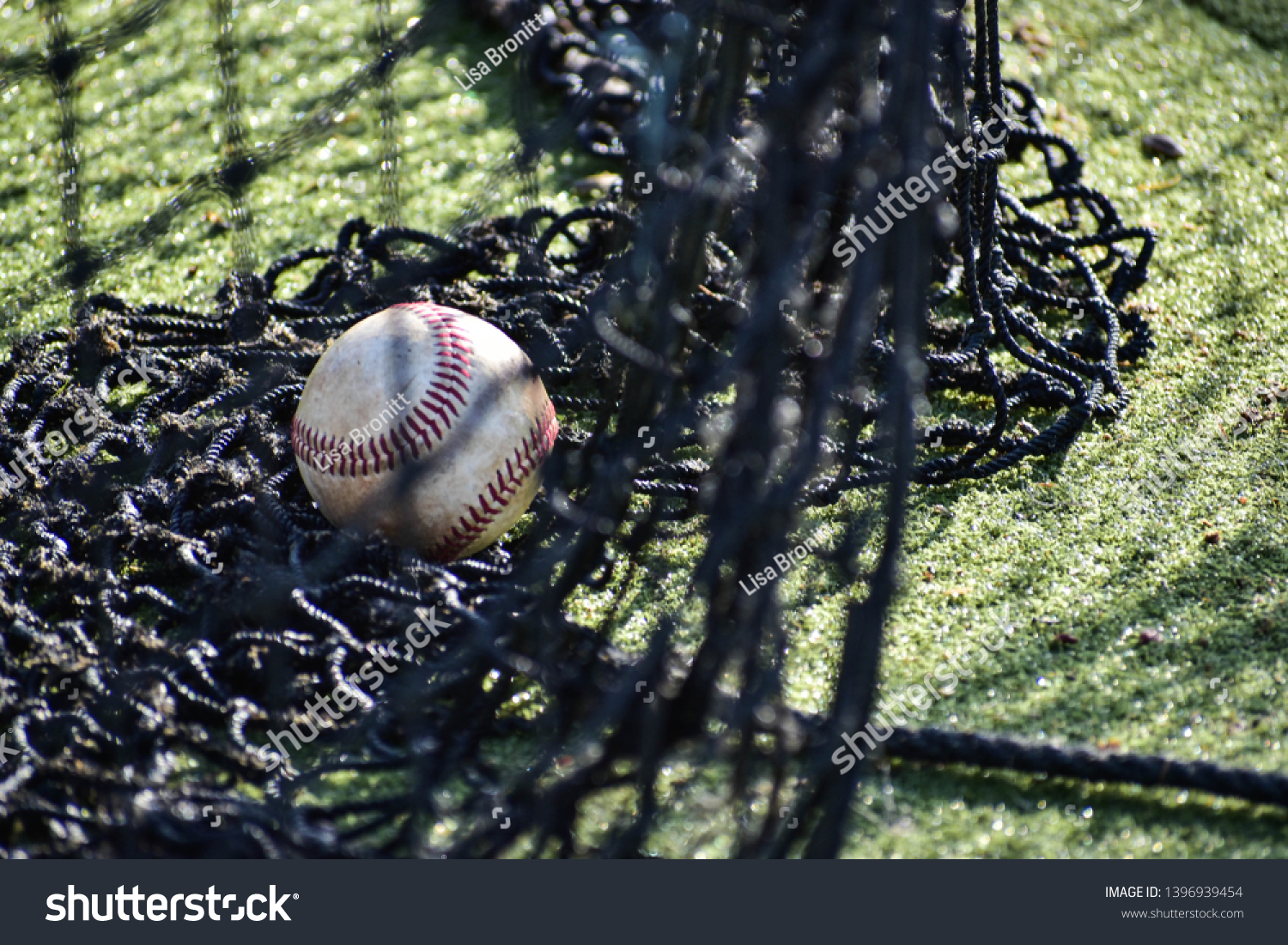 Lone baseball in mesh netting of batting cage #1396939454
