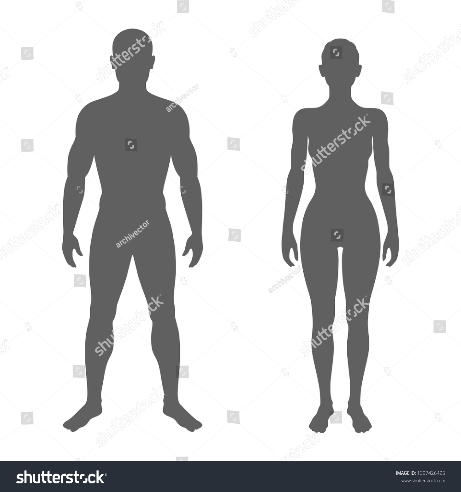 Male and female body silhouettes. Isolated - Royalty Free Stock Vector ...