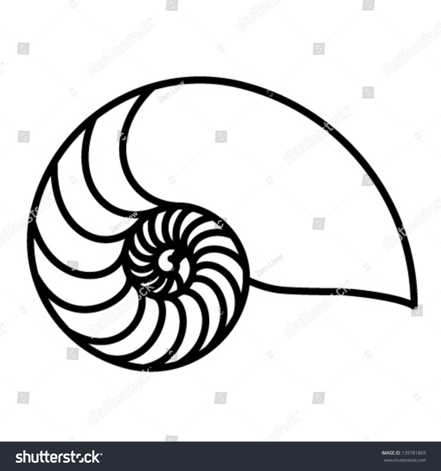 Outline Of A Nautilus Shell Royalty Free Stock Vector Avopix Com