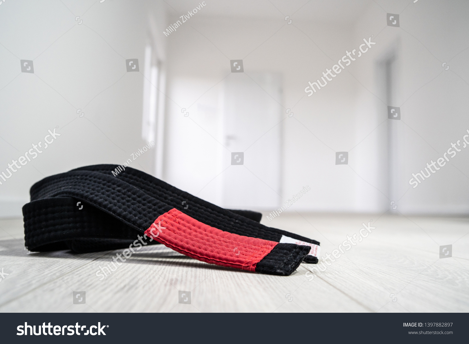 BJJ Brazilian Jiu JItsu Black Belt on the floor at home #1397882897