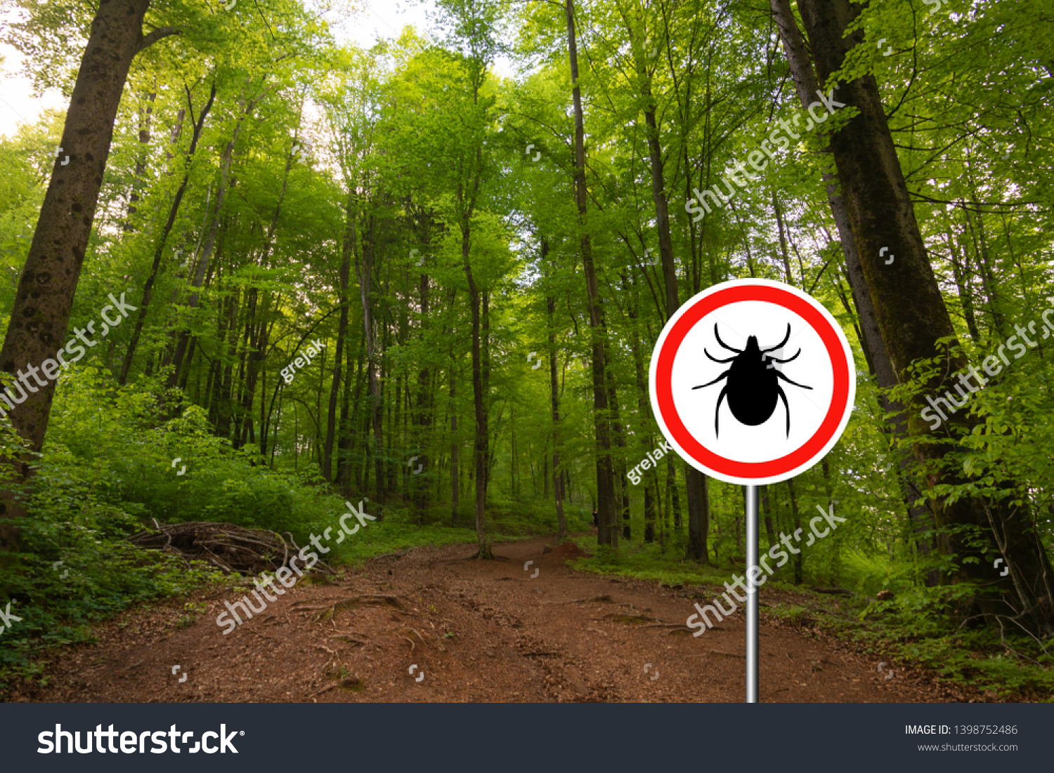 Tick insect warning sign in nature forest. Lyme disease and tick-borne meningitis (meningoencephalitis) transmitter. #1398752486