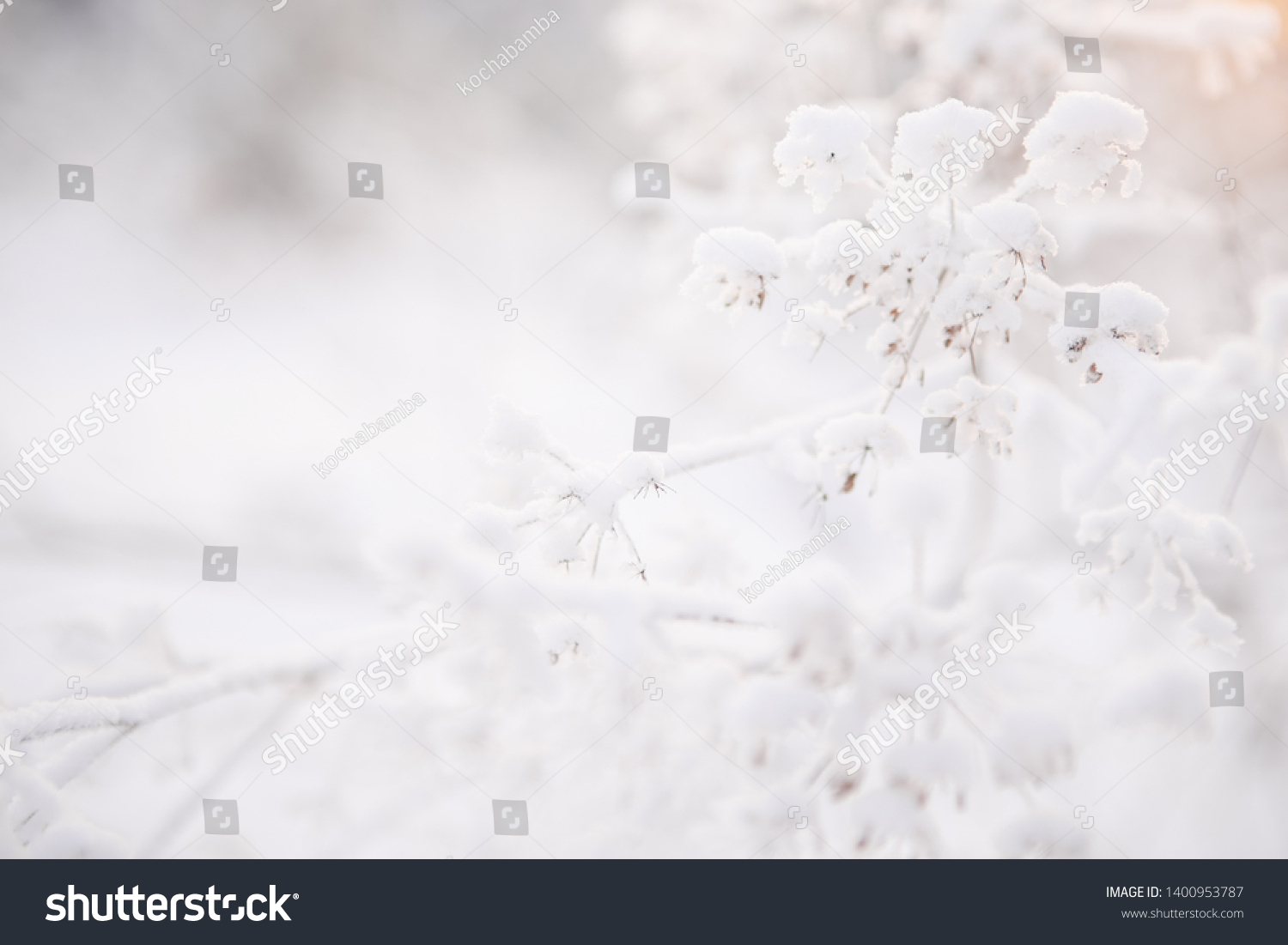 winter landscape, natural background, plant under the snow in the forest #1400953787