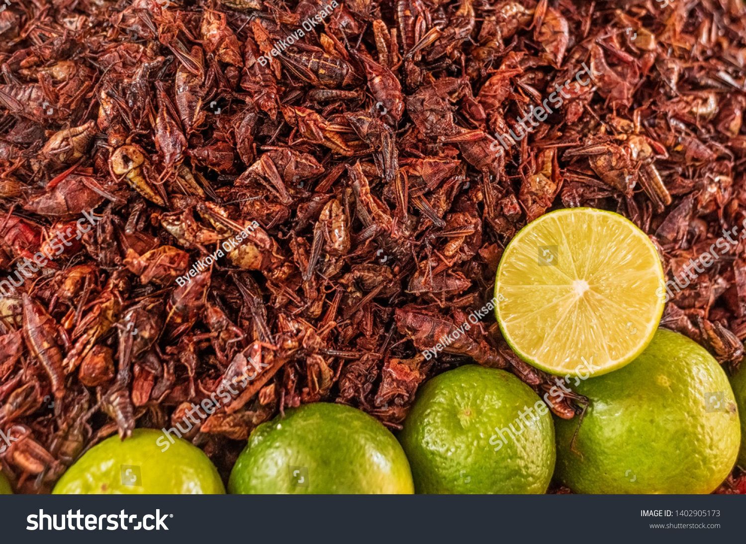 Fried grasshoppers (chapolenas) and lemon at a market, Mexico #1402905173