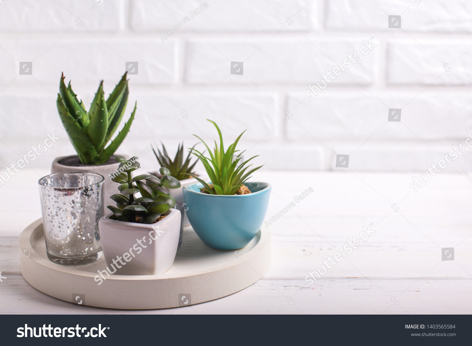 Succulents and cactus plants in pots on tray  near by white brick wall. Potted indoor house plants. Modern minimalistic interior. Selective focus. Place for text. #1403565584