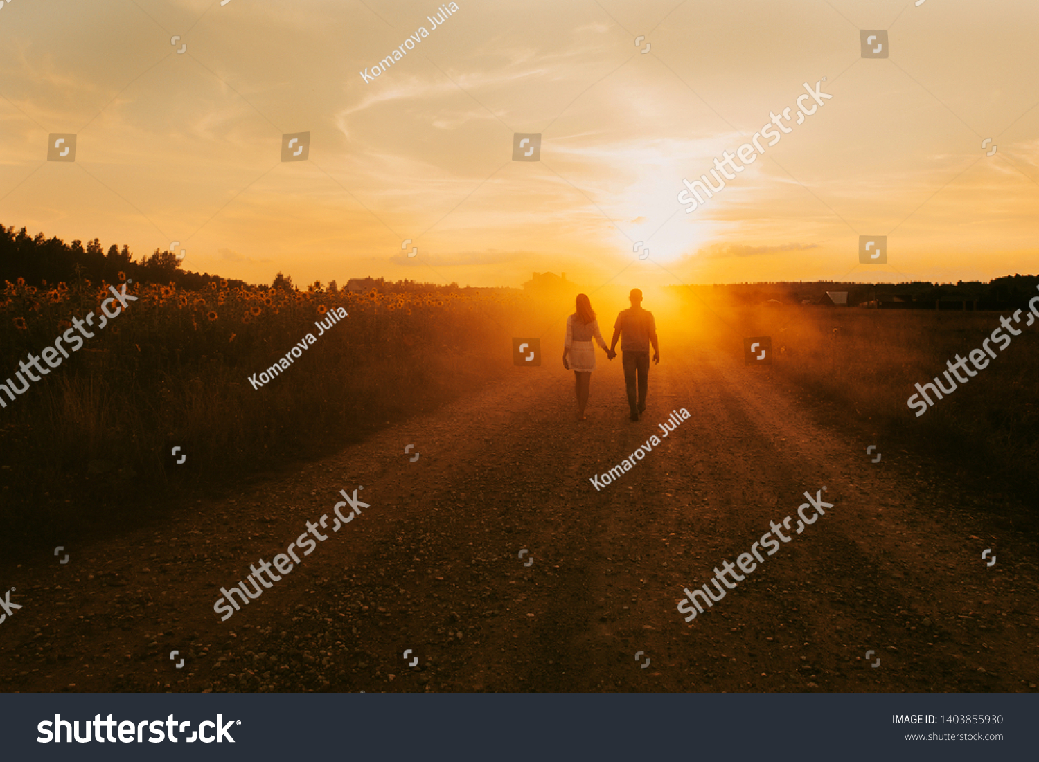 Beautiful couple in love is walking the road between the fields of sunflowers, summer sunset, bright orange light. In the background is a forest and rustic wooden houses. Concept of travel by car, eco #1403855930