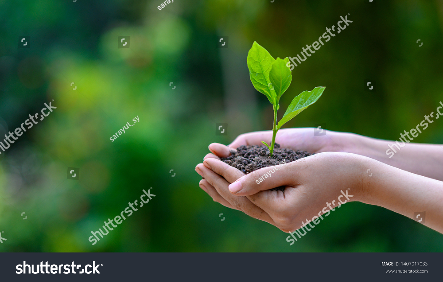 environment Earth Day In the hands of trees growing seedlings. Bokeh green Background Female hand holding tree on nature field grass Forest conservation concept #1407017033