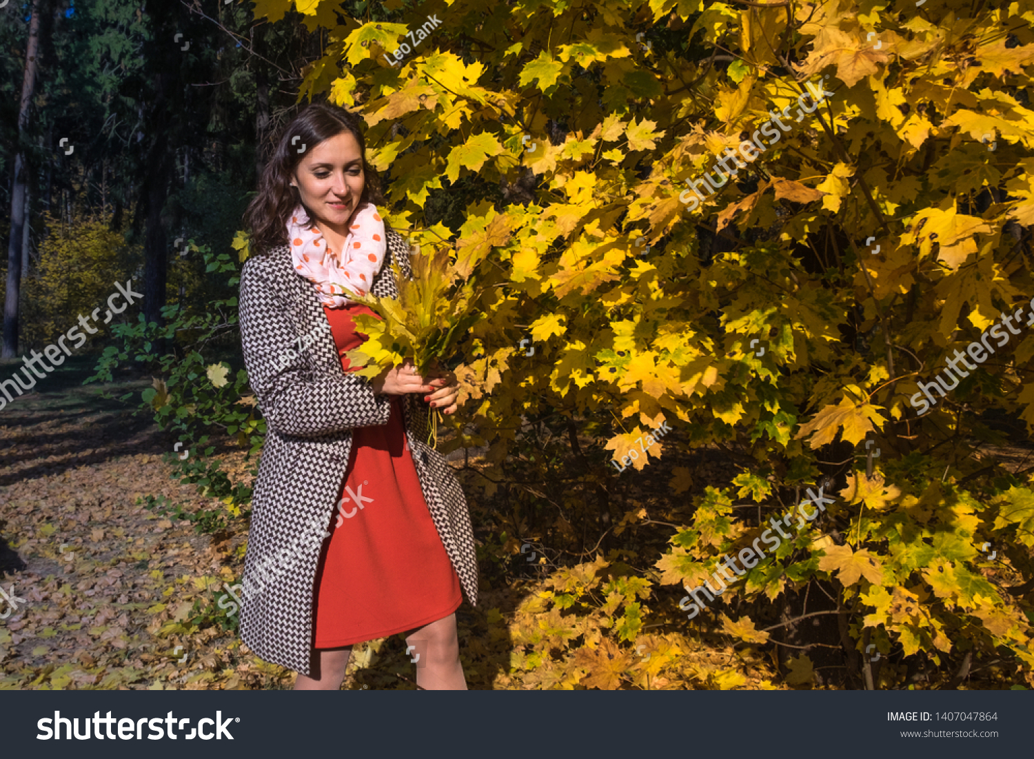 Young woman wearing gray coat and red dress having fun in autumn park and holding yellow maple leaves in hands. Happy girl enjoying weekend outdoor walking. Sunny day and fall nature on background.  #1407047864