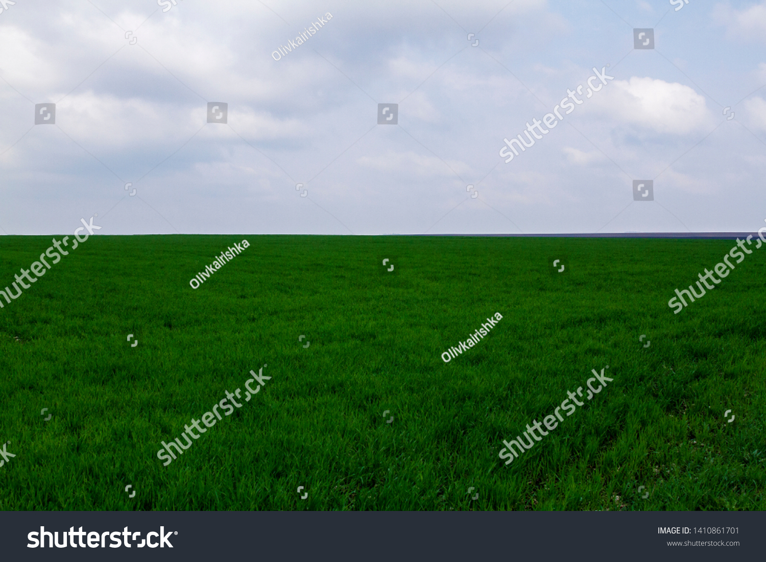 Field. Green field. Plowed field. Sowed field. #1410861701