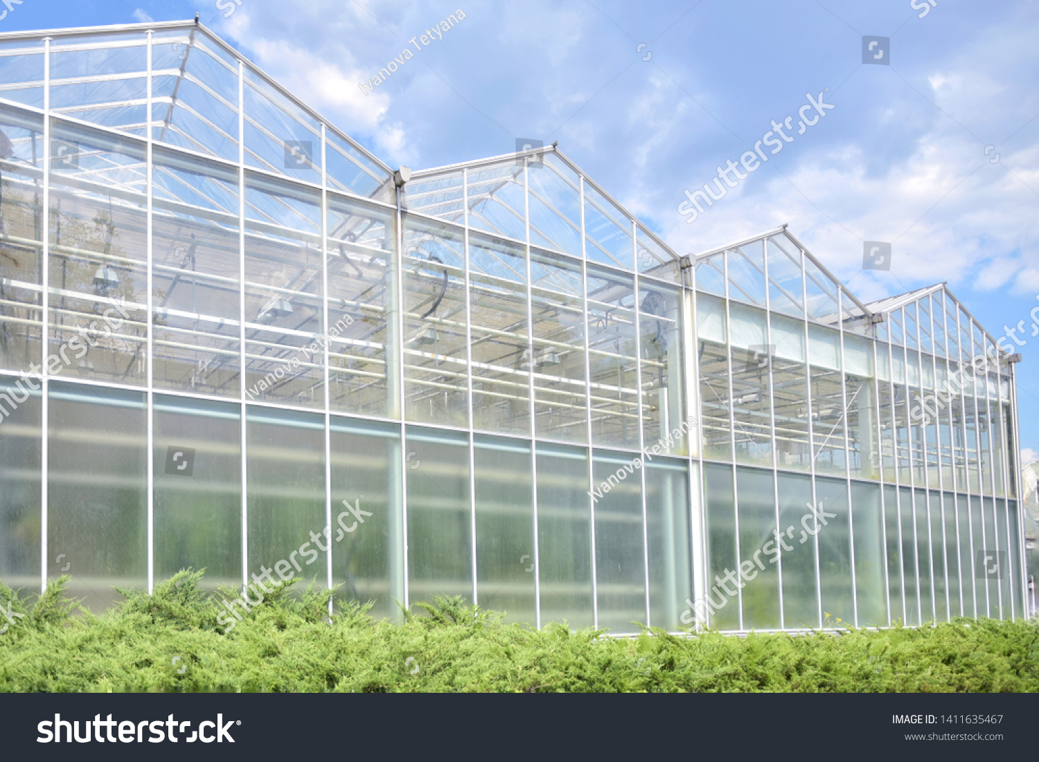Big industrial greenhouse from glass panels on blue sky background. Agriculture glasshouse for growing plants. Transparent green house for growing organic vegetables. Cultivating agricultural plant #1411635467