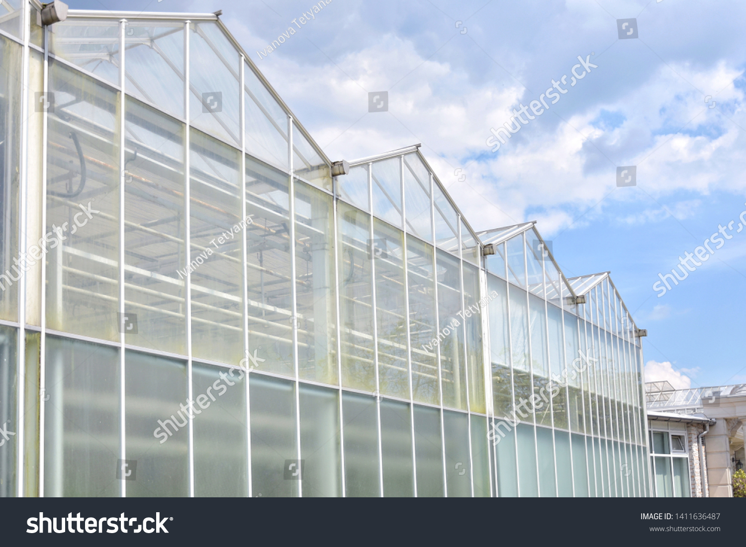 Greenhouse from glass with green organic plants on the summer background. Industrial green house for cultivating ecological vegetables. Cultivate agricultural plant. Glasshouse for growing veggies  #1411636487