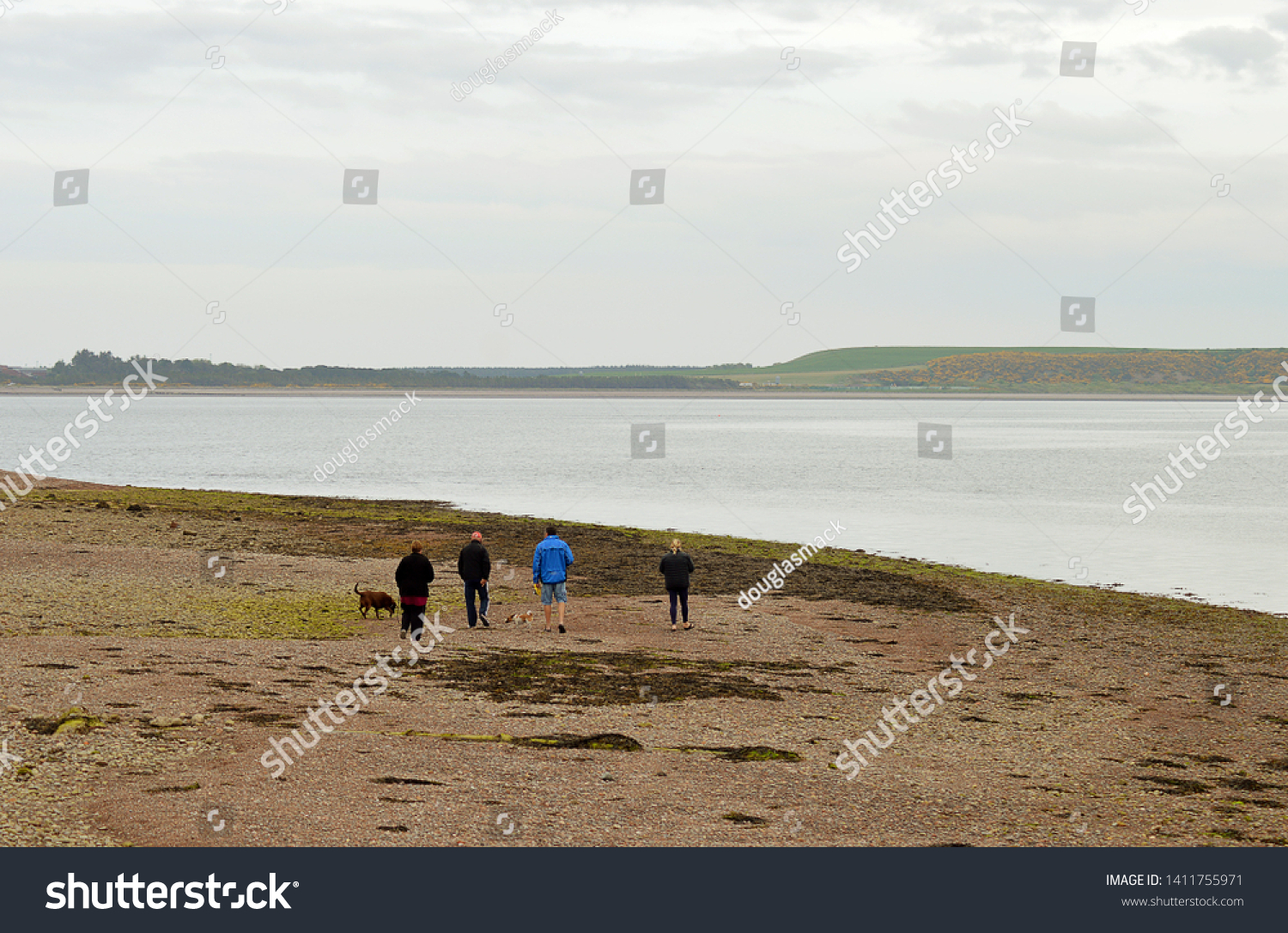 A spring walk on the beach by an anonymoujs group of two men, two women and two dogs on the shoreline of the Moray Firth at Chanonry Point, Rosemarkie, Scotland, a popular spot for dolphin watching. #1411755971