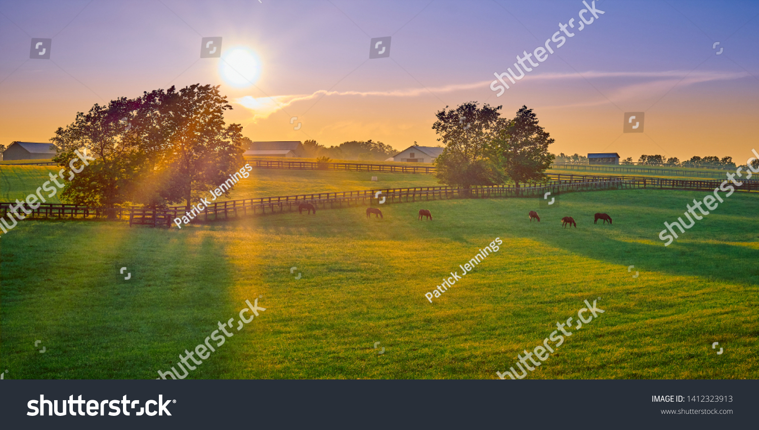 Thoroughbred horses grazing at sunset in a field. #1412323913