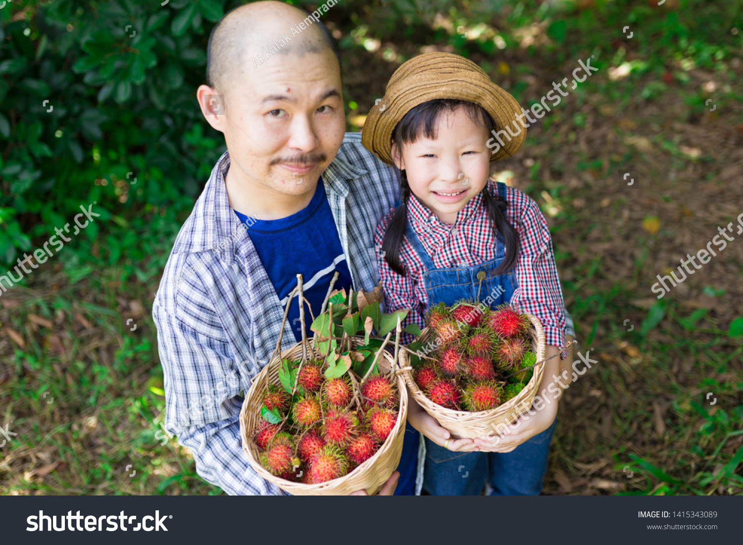 close up asian children, asian gardener family harvest organic rambutan fruit in farm, they feeling happy in family time, child learning and development, father day #1415343089
