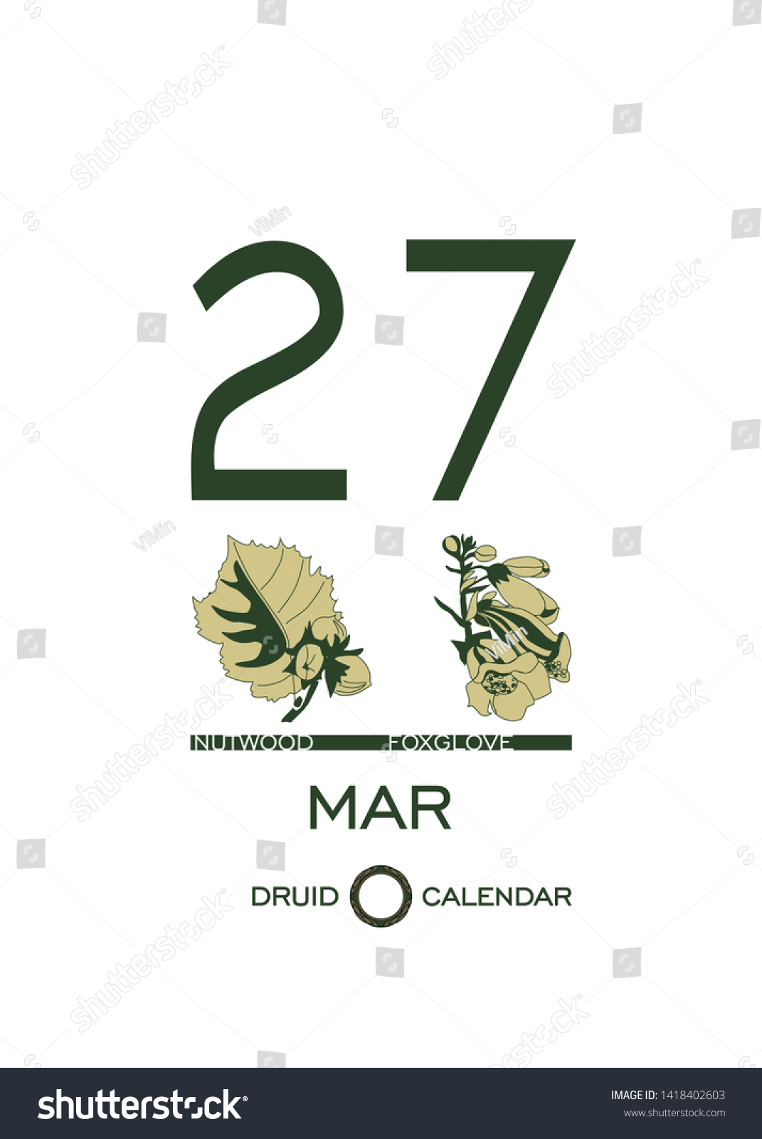 Druid calendar of flowers and trees. Leaf - Royalty Free Stock Vector ...