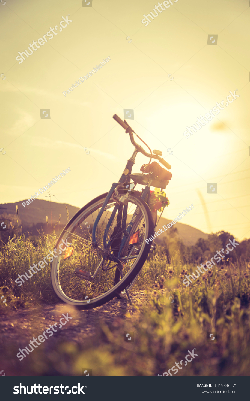 Blue classic bicycle is standing on a green field, sundown scenery #1419346271