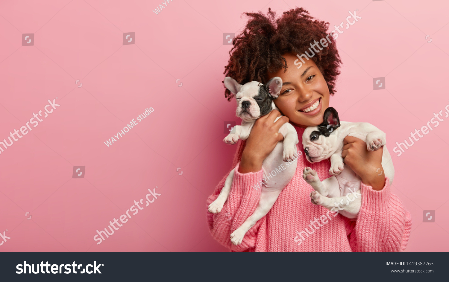 Happy female pet lover poses with two pedigree dogs, tilts head, has curly hair, wears pink sweater, isolated over rosy background, free space for your advertising. Friendship, people, animals concept #1419387263