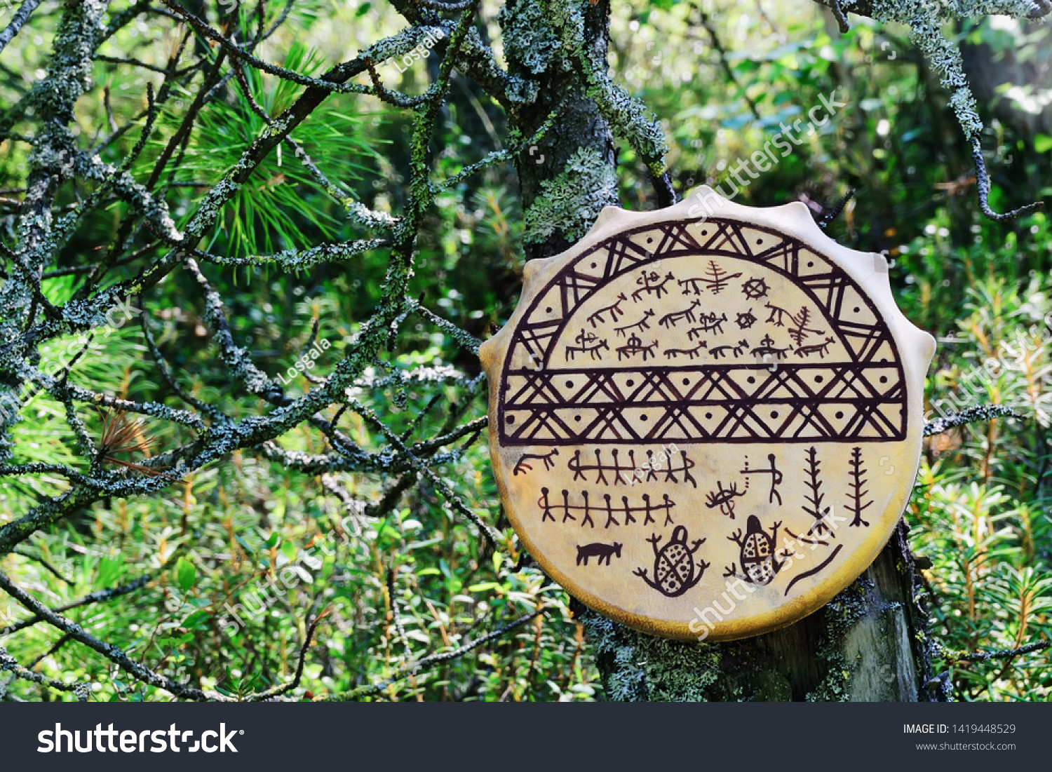 A buckskin tambourine with pictograms hangs on an old tree covered with moss. In the background, the autumn vegetation of the tundra. Negative field. Close up. Blurred background.

 #1419448529