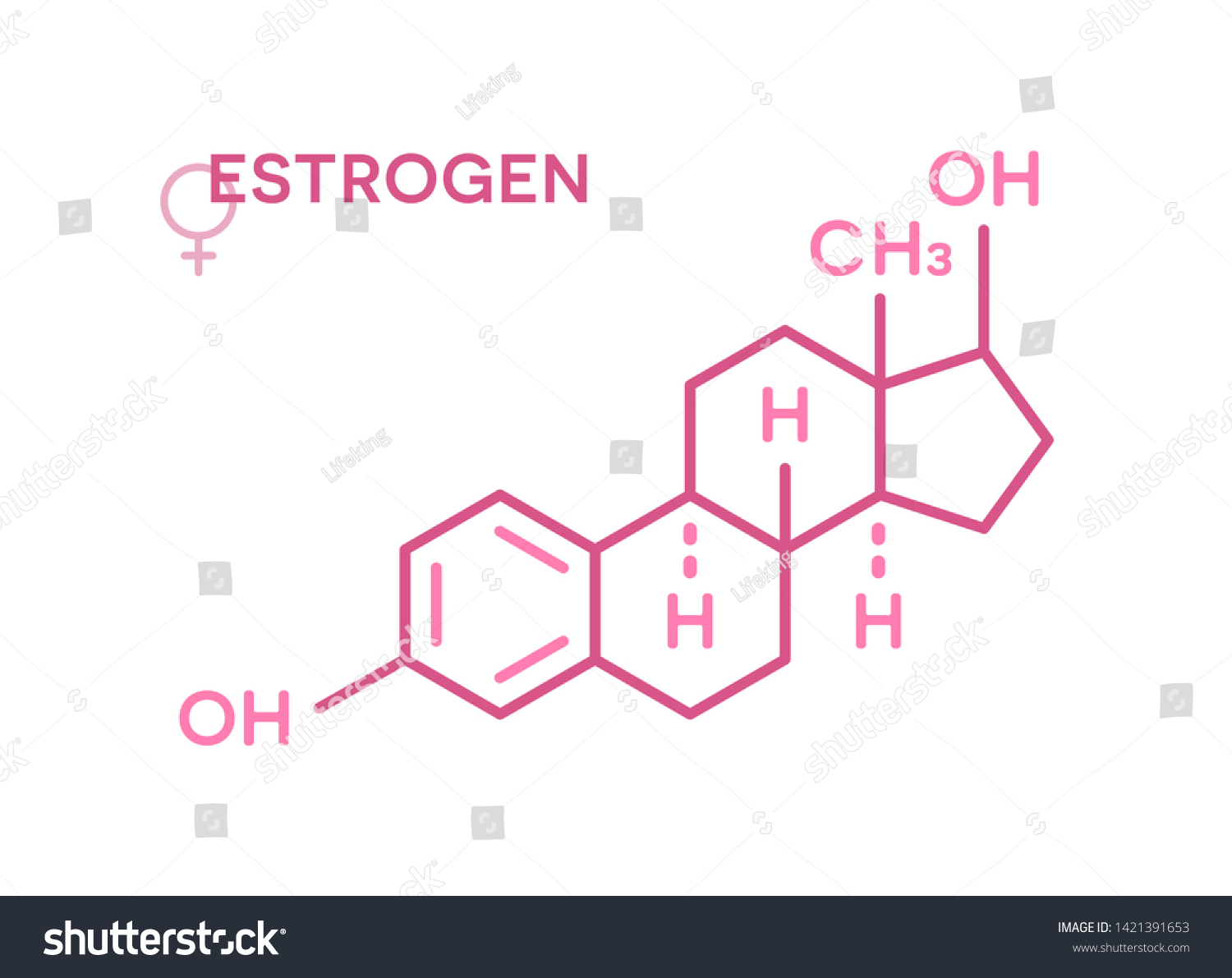 Estrogen Hormones Molecular Formula Sex Hormone Royalty Free Stock