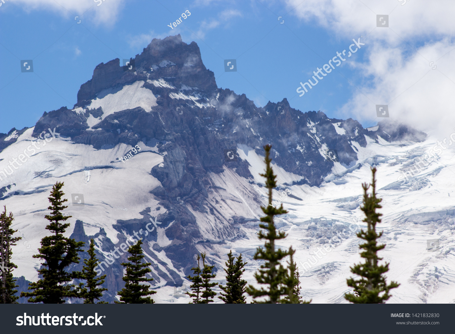 Snowy evergreens & mountain tops. Take a look at these beautiful shots of Washington States Mount Rainier. #1421832830