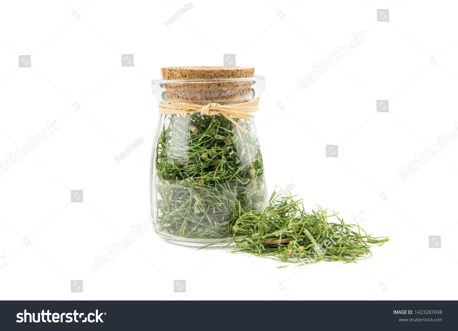 Pile of dried natural herbal medicine called Equisetum arvense the field horsetail or common horsetail isolated on white next to filled glass jar. #1423287698