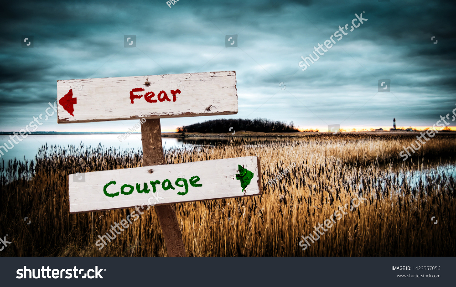 Street Sign the Direction Way to Courage versus Fear #1423557056