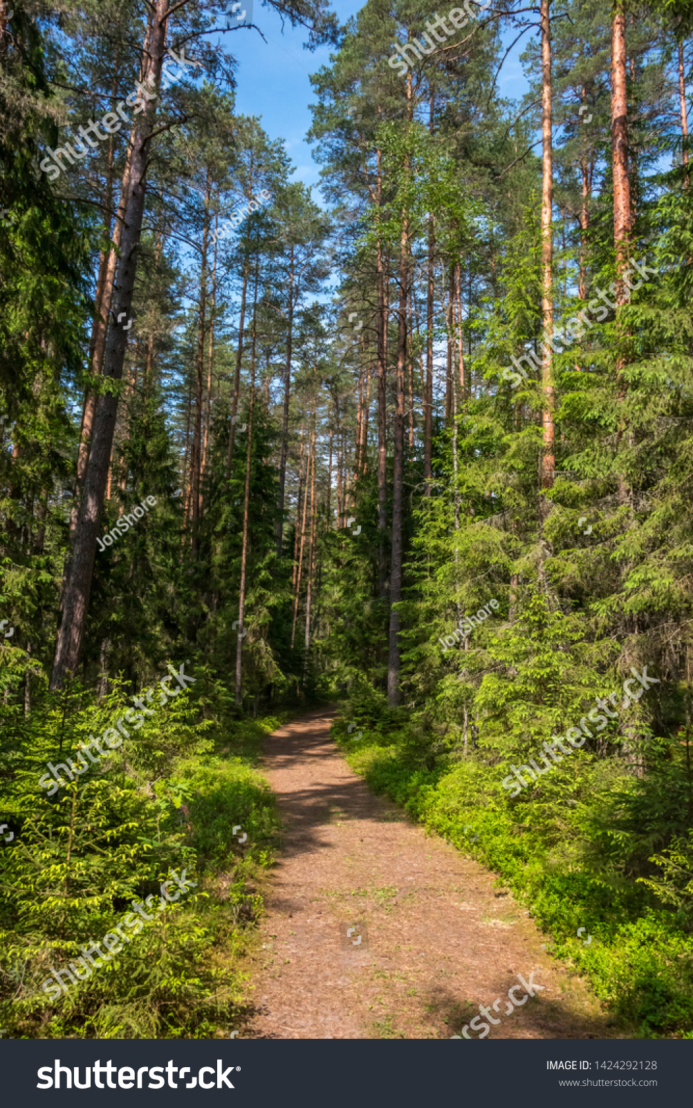 Forest Hiking Trail in a National Park in Latvia #1424292128