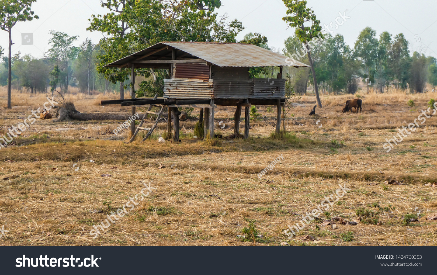 A little cottage in the countryside in the dry countryside of Thailand #1424760353