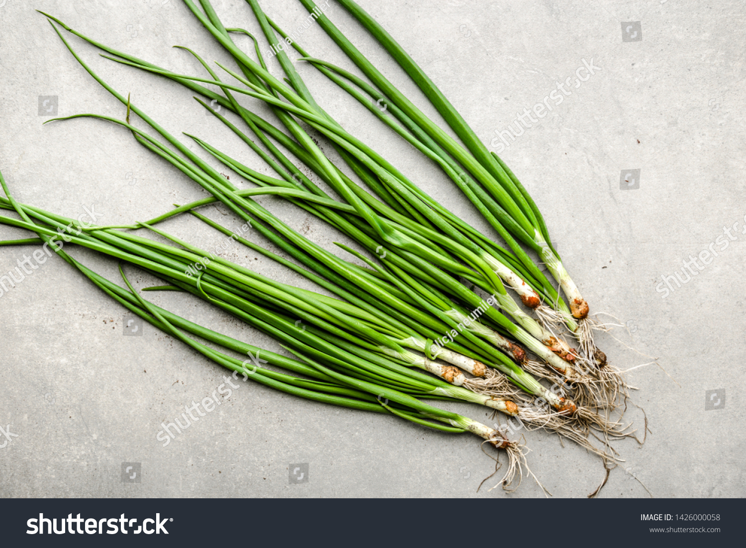 Farm fresh onion, green produce freshly harvested organic vegetables, top view #1426000058