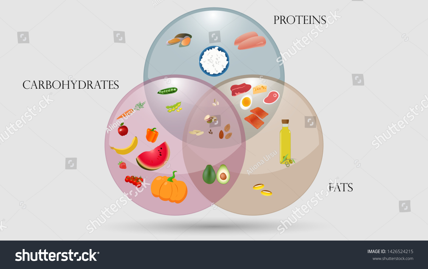 Proteins Fats And Carbohydrates Scheme Royalty Free Stock Vector 1426524215 3592