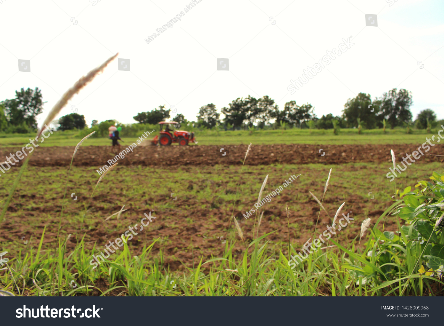 The orange tractor is plowing for farming in the farming season, taking a blurred image #1428009968
