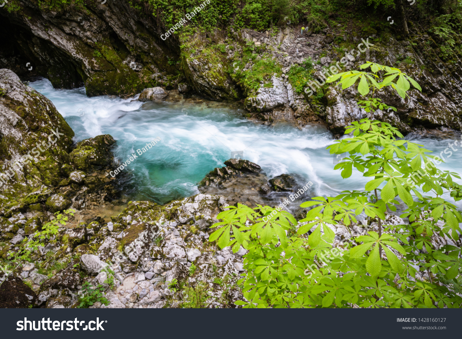 hiking in scenic valley of vintgar gorge in slovenia #1428160127