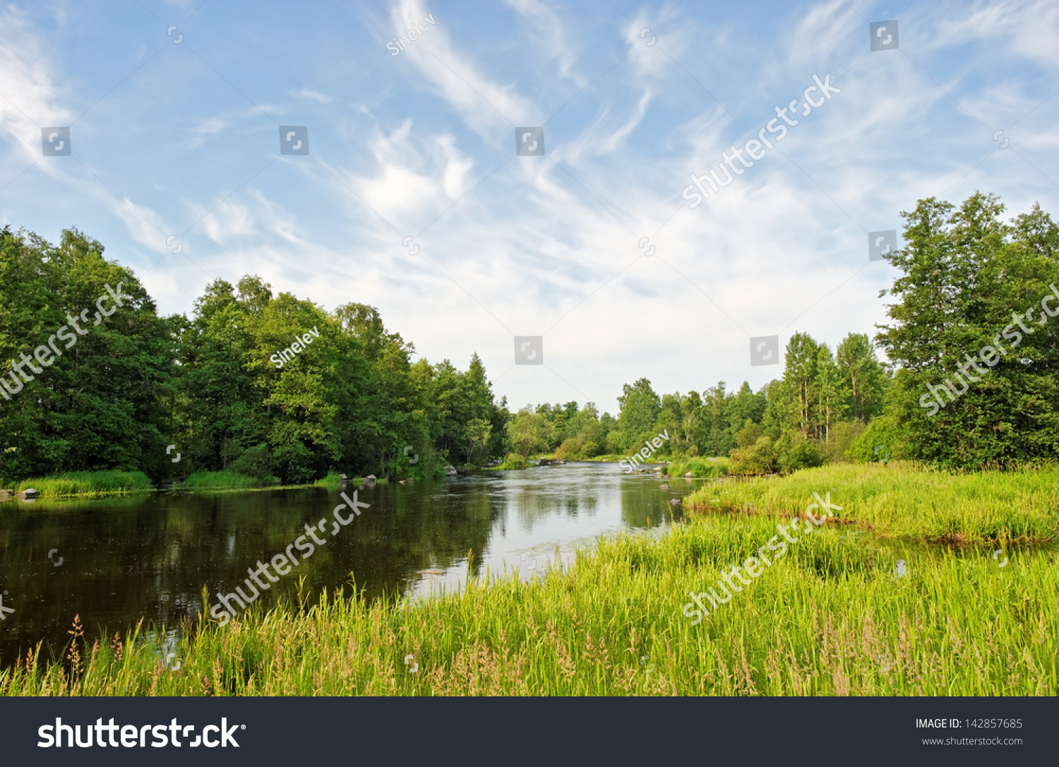 river in green banks covered with woods #142857685