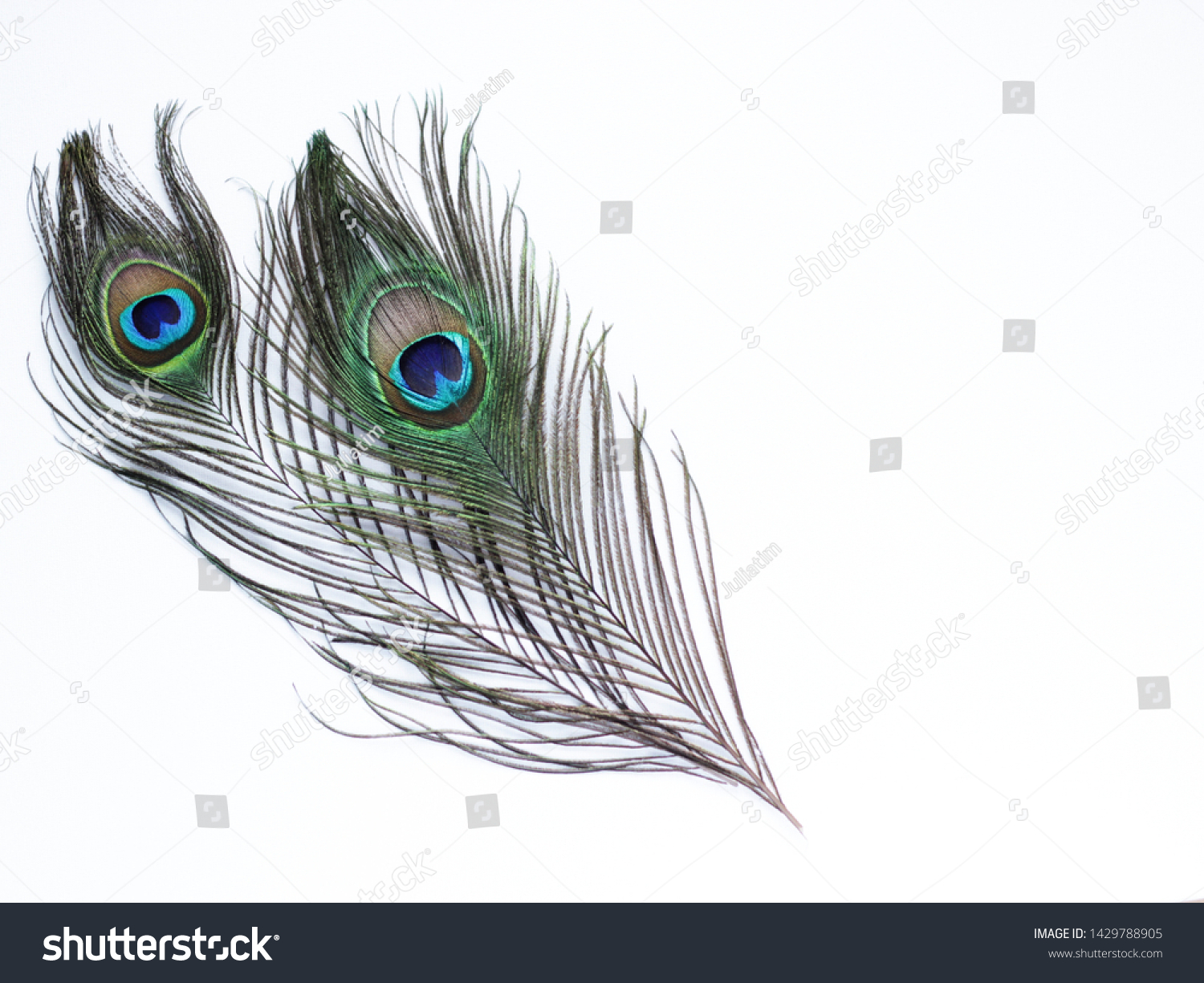 Clothing and home decoration. Peacock feathers on white background. #1429788905