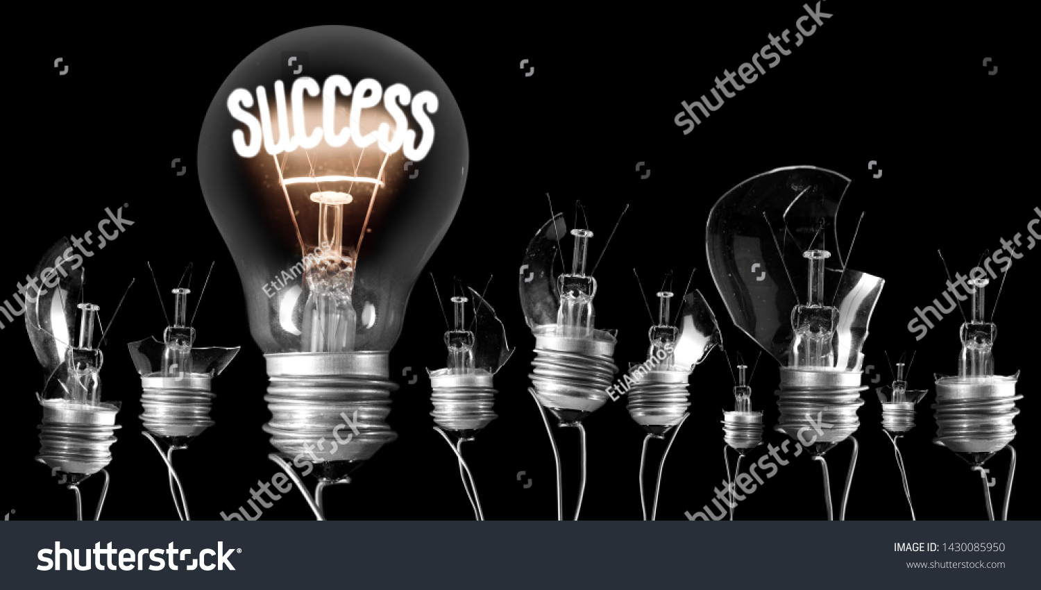 Group of broken light bulbs and shining one of them with fiber in a shape of Success word isolated on black background #1430085950