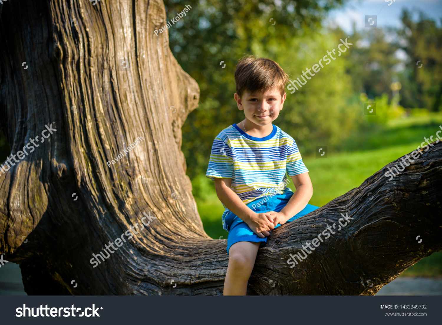The boy is sitting on a log. The child walks in the summer forest. The kid sits on a fallen tree. #1432349702
