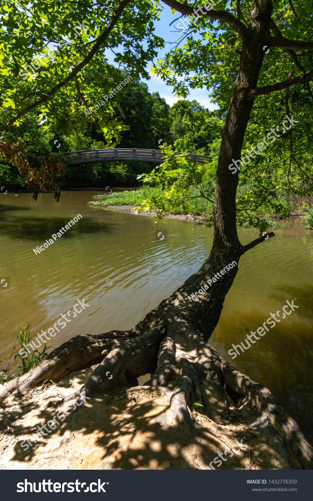 Creek and bridge in starved rock state park, Illinois. #1432776359