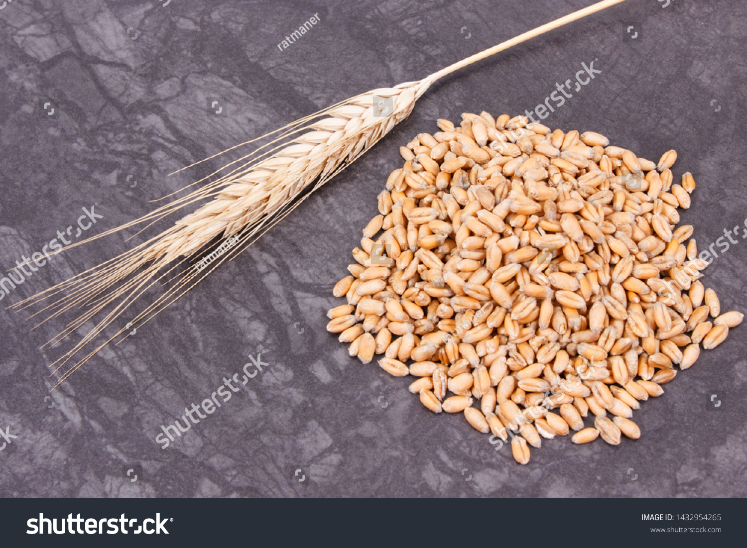 Heap of rye or wheat grains and ears of cereal on dark background #1432954265