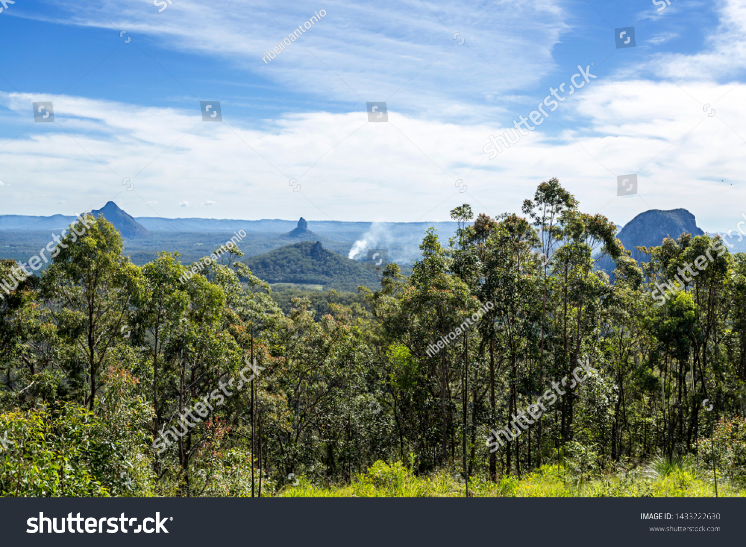 View of some mountains of the Glass House Mountains National Park, from left to right Mount Beerwah, Mount Coonowrin, Mount Tibberoowuccum and Mount Tibrogargan #1433222630