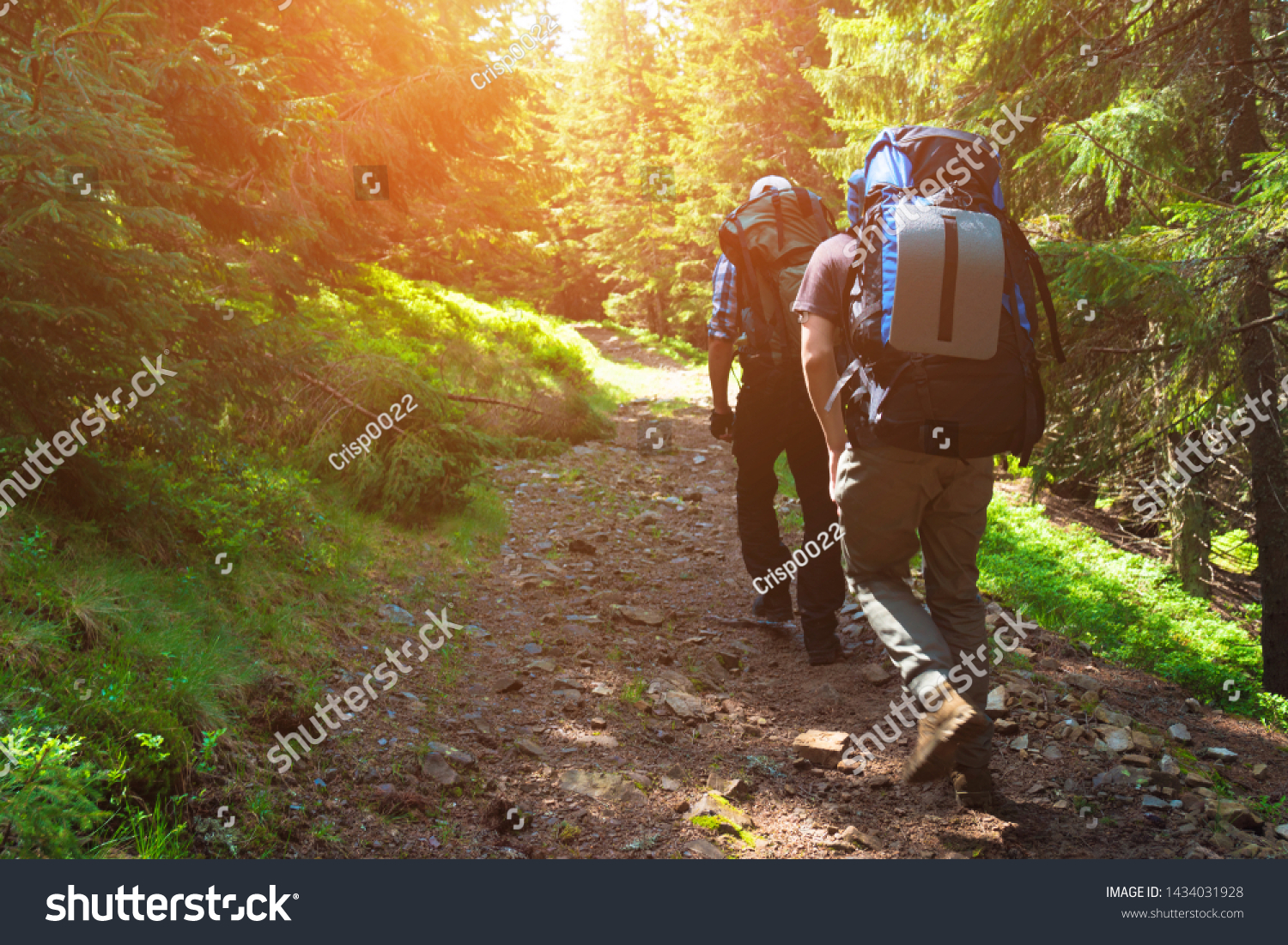 Two friends travel in the mountains with backpacks #1434031928
